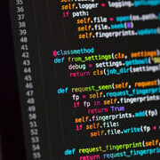 Developer